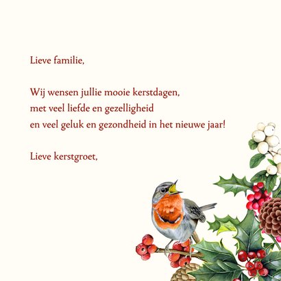 Kerst roodborstjes op takjes 3