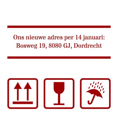 Kerst Verhuisdoos Sneeuw - HR 2