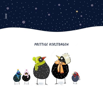 Kerst - Vogel familie 2