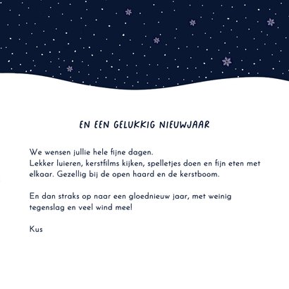 Kerst - Vogel familie 3