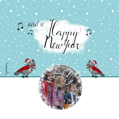 Kerst vogelhuisjes 2