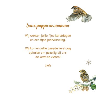 Kerst vogeltjes in de sneeuw 3