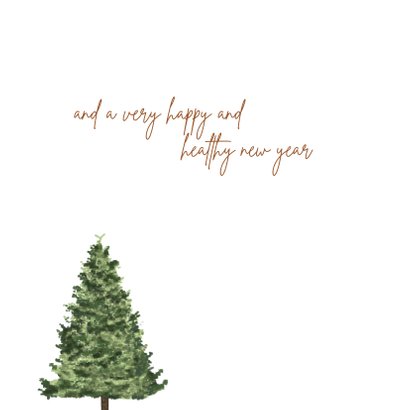 Kerst / Wishing you a lovely christmas 2