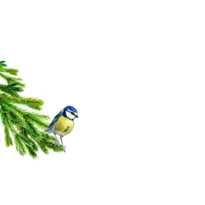 Kerstboom met een pimpelmeesje 2