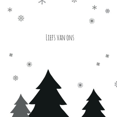 Kerstboom zwart/wit sneeuw 3