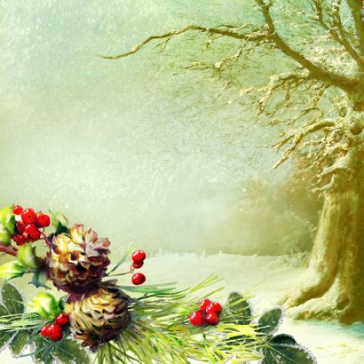 Kerstgroet eigen foto winterbos 2020 2