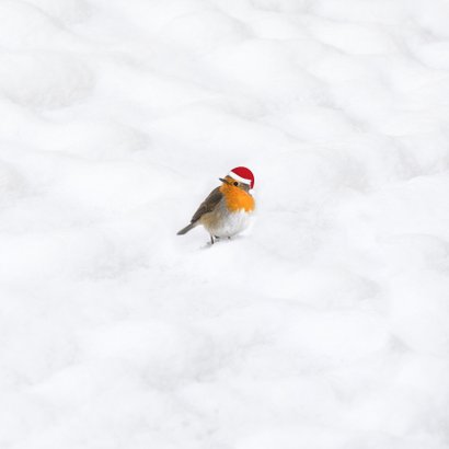 Kerstkaart 2021 houtprint in de sneeuw Achterkant