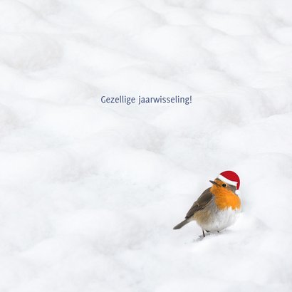 Kerstkaart 2023 houtprint in de sneeuw met roodborst 3