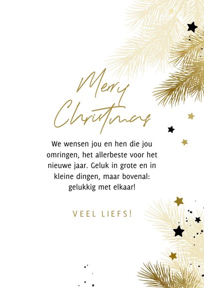 Kerstkaart 2023 zwart-wit met takjes en sterren 3