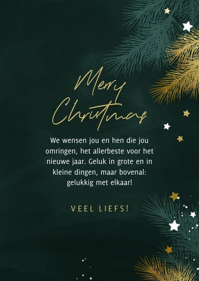 Kerstkaart 2025 met kersttakjes en gouden sterren 3