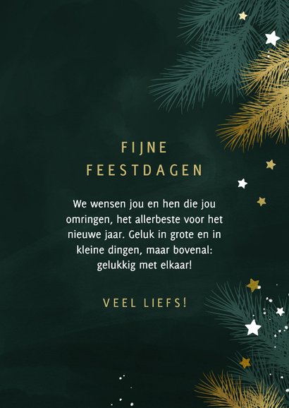 Kerstkaart 2026 met foto kersttakjes en gouden sterren 3