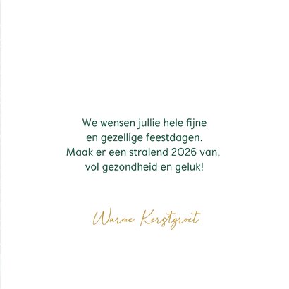 Kerstkaart 2027 kerstballen hond 3