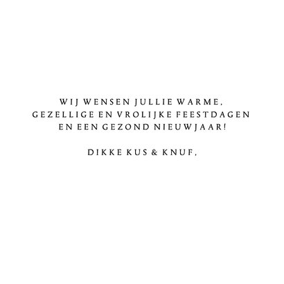 Kerstkaart 4x foto aan jute touw 2026 3