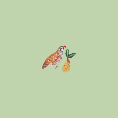 Kerstkaart 'a partridge in a pear tree' illustratie Achterkant