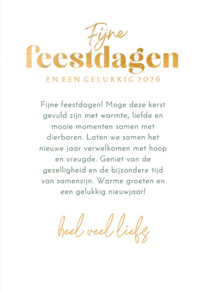 Kerstkaart berg vol dennenbomen 3