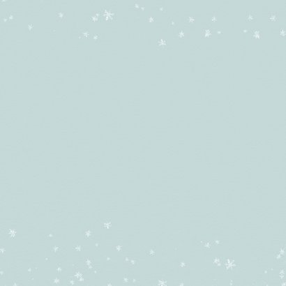 Kerstkaart botanisch met huisjeskaarsen Achterkant
