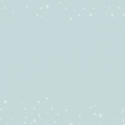Kerstkaart botanisch met huisjeskaarsen Achterkant