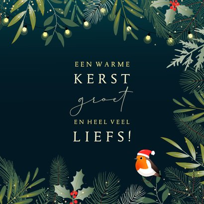 Kerstkaart botanisch roodborstjes met kerstmuts en lichtjes 3