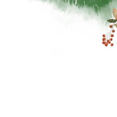 Kerstkaart botanische illustratie met foto Achterkant