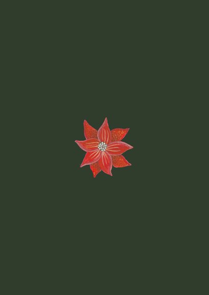 Kerstkaart botanische kerstster poinsettia Achterkant