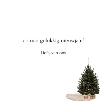 Kerstkaart broertje zusjes kerstboom kat 3