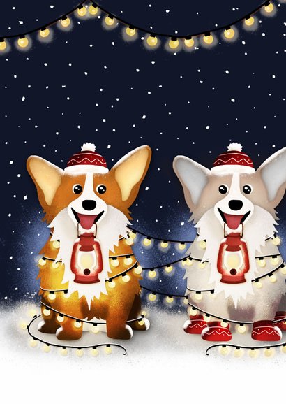 Kerstkaart Corgi hond met kerstlampjes in de nacht 2