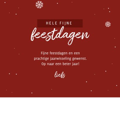 Kerstkaart corona kat in de zak kerstbal sneeuw 3
