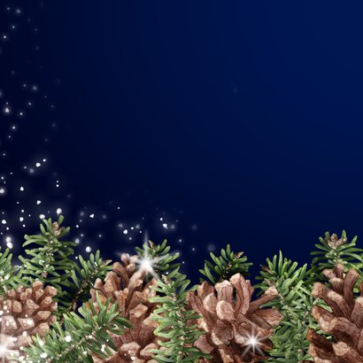 Kerstkaart dennenappels kersttakken sterren zakelijk 2