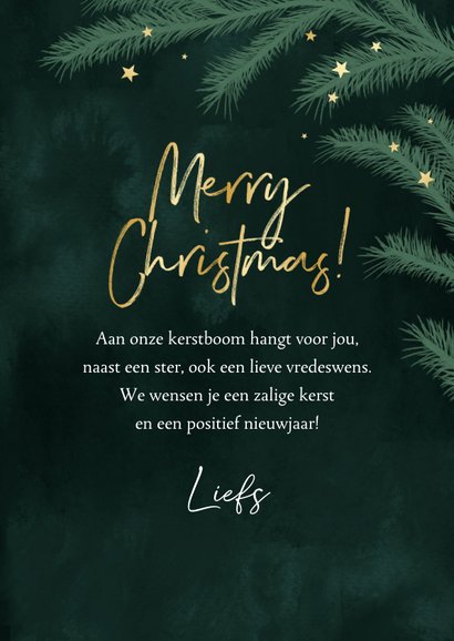 Kerstkaart dennentakjes groen foto sterren goud 3