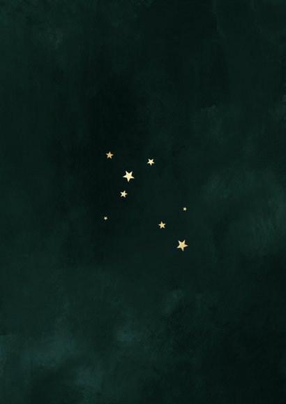 Kerstkaart dennentakjes groen foto sterren goud Achterkant
