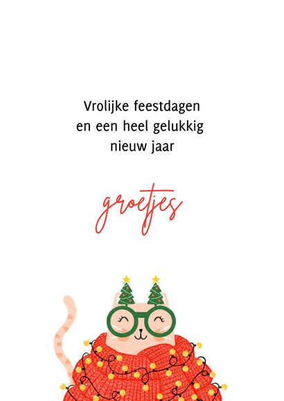 Kerstkaart dikke kat gebreide sjaal kerstbril 3