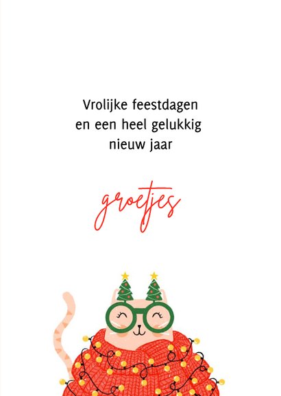 Kerstkaart dikke kat gebreide sjaal kerstbril 3