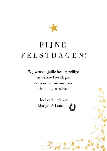 Kerstkaart eigen foto paard 3