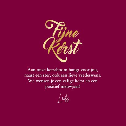 Kerstkaart fijne kerst vrouwelijke kabouter goud 2026 3