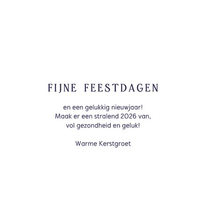 Kerstkaart fijne kerstdagen sneeuw 3