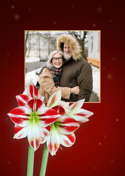 Kerstkaart fleurige amaryllis bloem 2