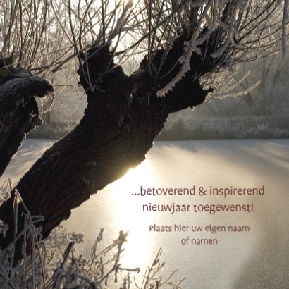 Kerstkaart foto betoverde winter bomen 3