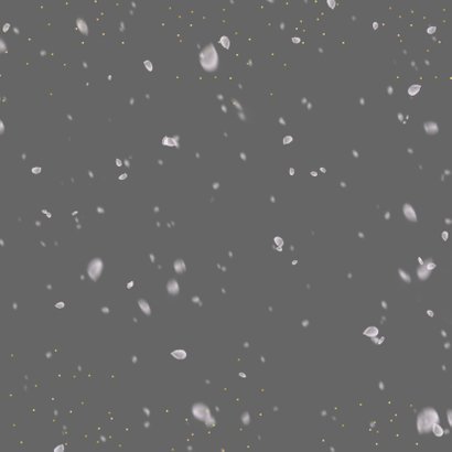 Kerstkaart foto-effect sneeuw en goudstipjes isf 2