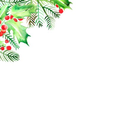 Kerstkaart foto met hulsttak en besjes 2