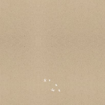 Kerstkaart fotocollage kraft goudlook sterren stempel Achterkant