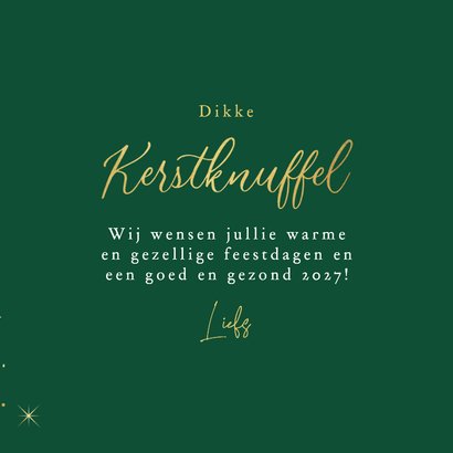 Kerstkaart fotokaart dikke kerstknuffel goud sterren 3