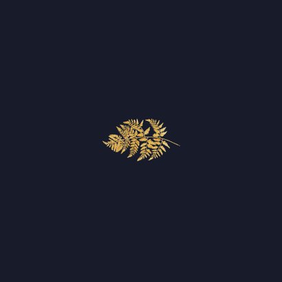 Kerstkaart goud Xmas en foto Achterkant