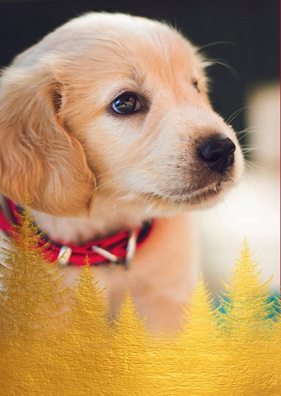 Kerstkaart gouden kerstbomen en foto 2