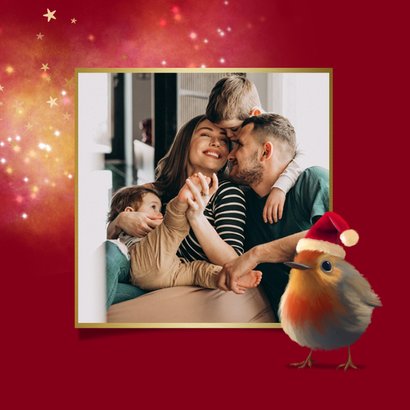 Kerstkaart grappig roodborstje lichtpuntjes kerstmuts 2