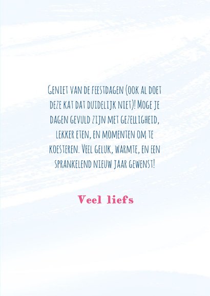 Kerstkaart grappige chagrijnige kerst kat 3