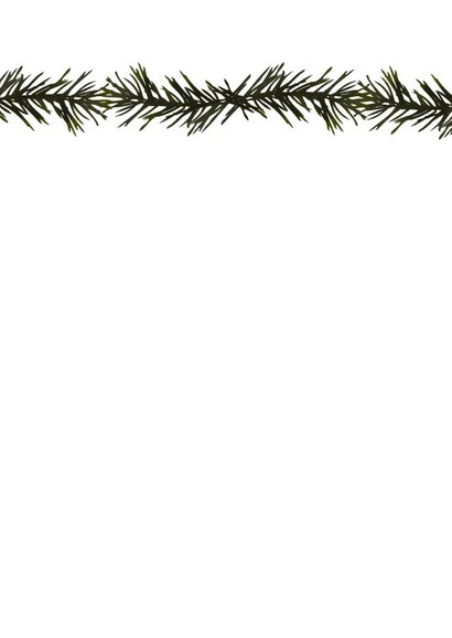 Kerstkaart groen takjes 2