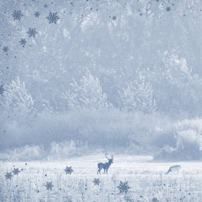 Kerstkaart hertenpaar in de natuur 2