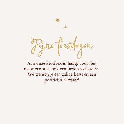 Kerstkaart hertje fijne kerst foto sterren lief 3