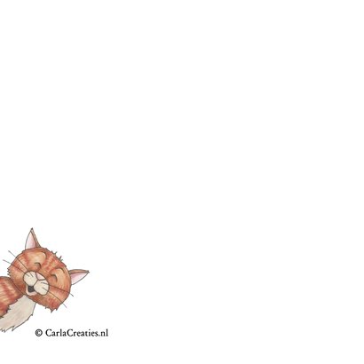 Kerstkaart hond en kat 2