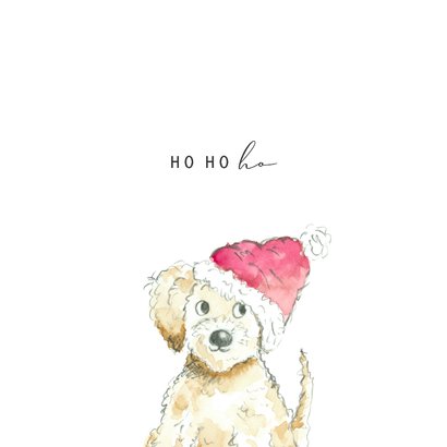 Kerstkaart - Hond met kerstmuts 2